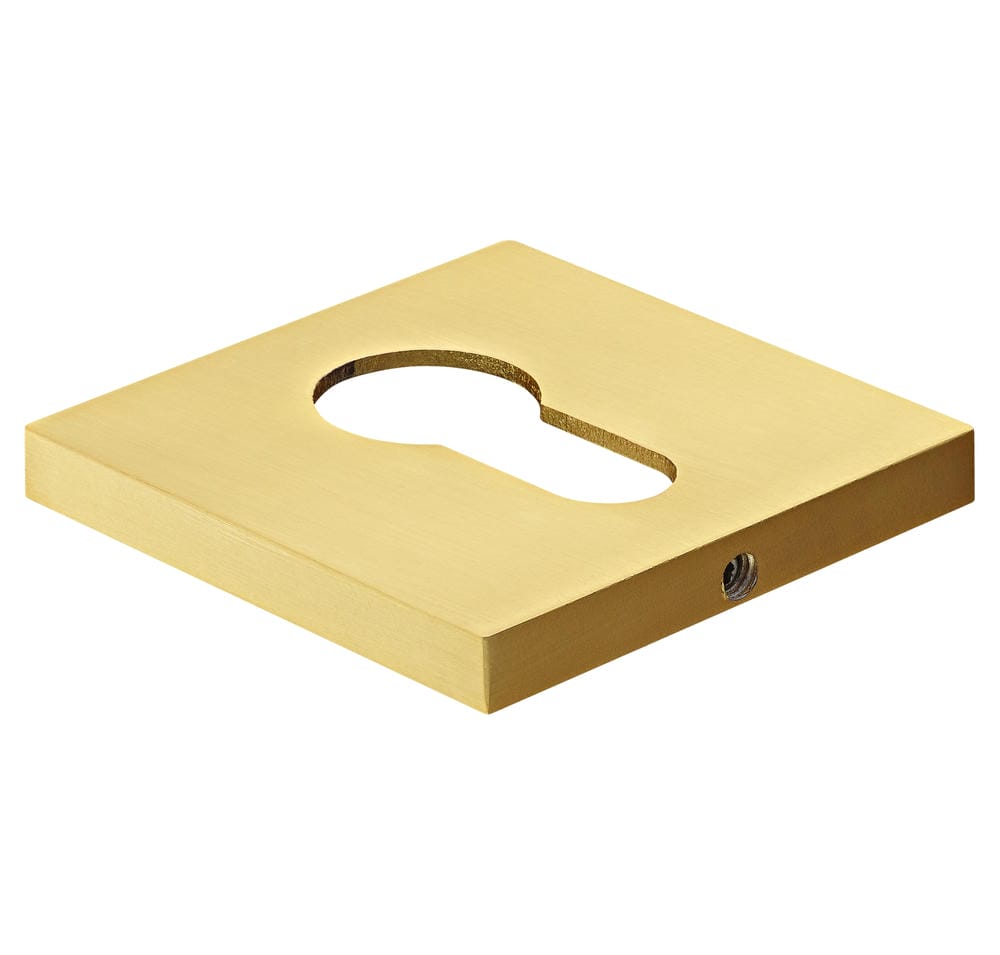 S6 Kapı Rozeti MH-KH-S6